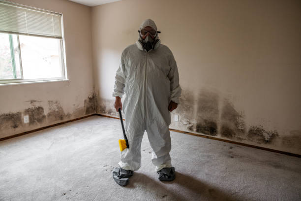 Best DIY Mold Remediation Support Services in Oakley, UT